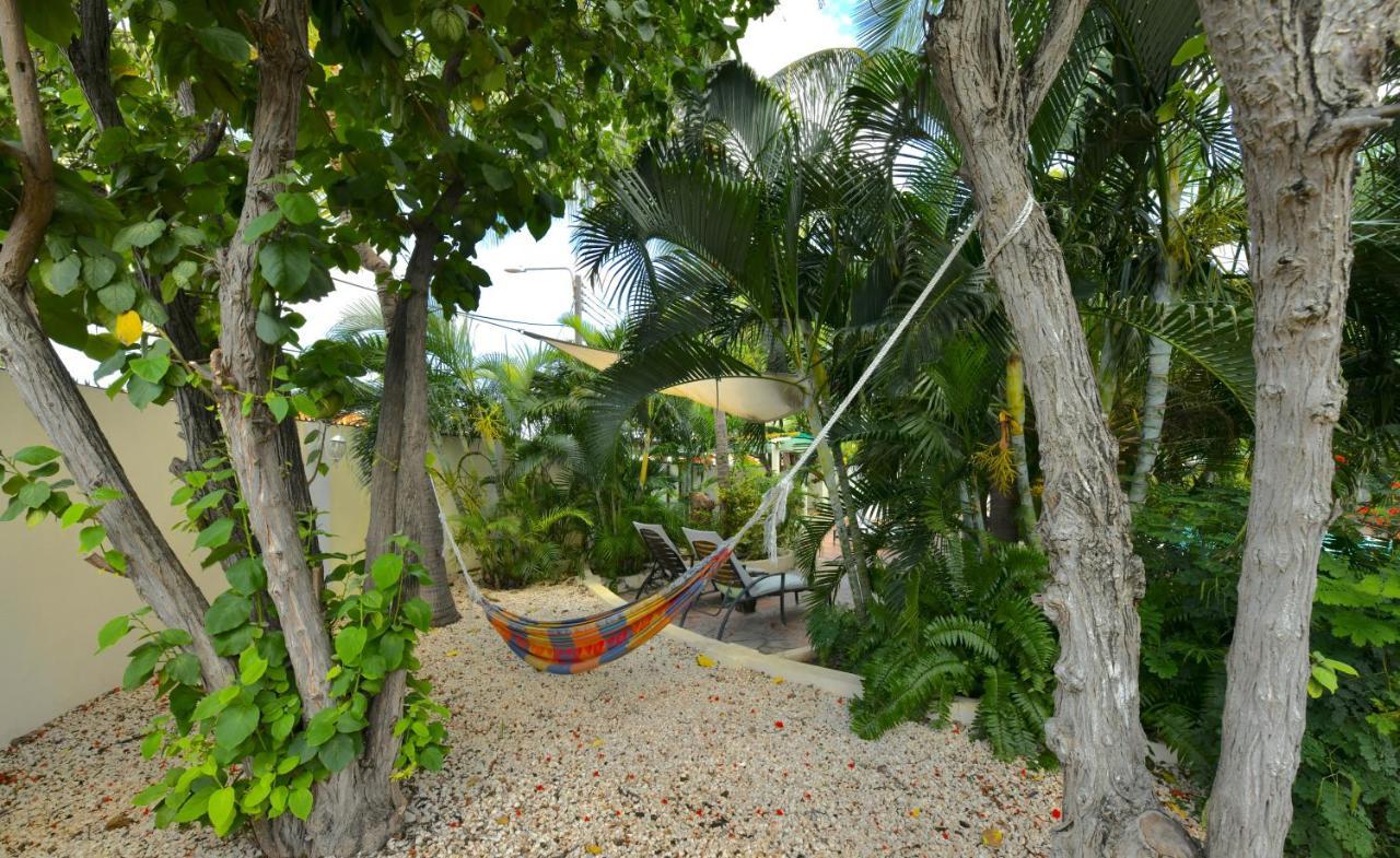 Wonders Boutique Hotel Oranjestad Ngoại thất bức ảnh