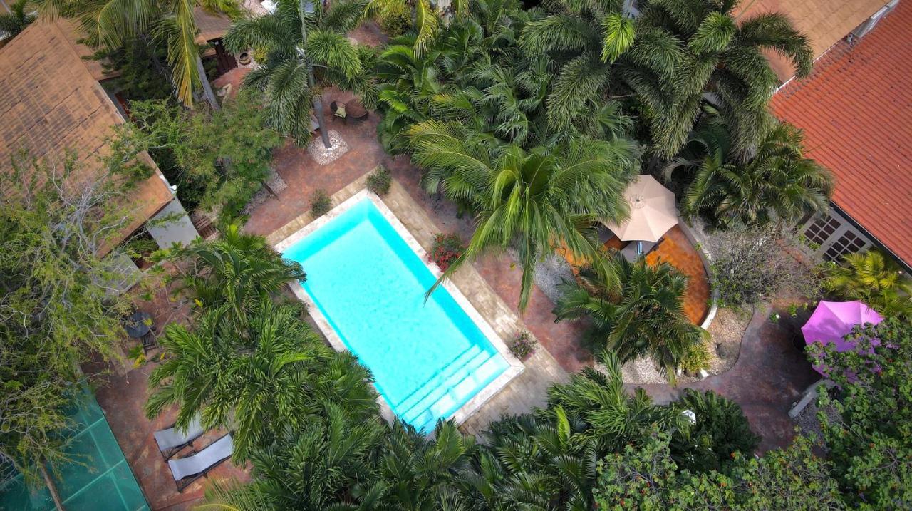 Wonders Boutique Hotel Oranjestad Ngoại thất bức ảnh
