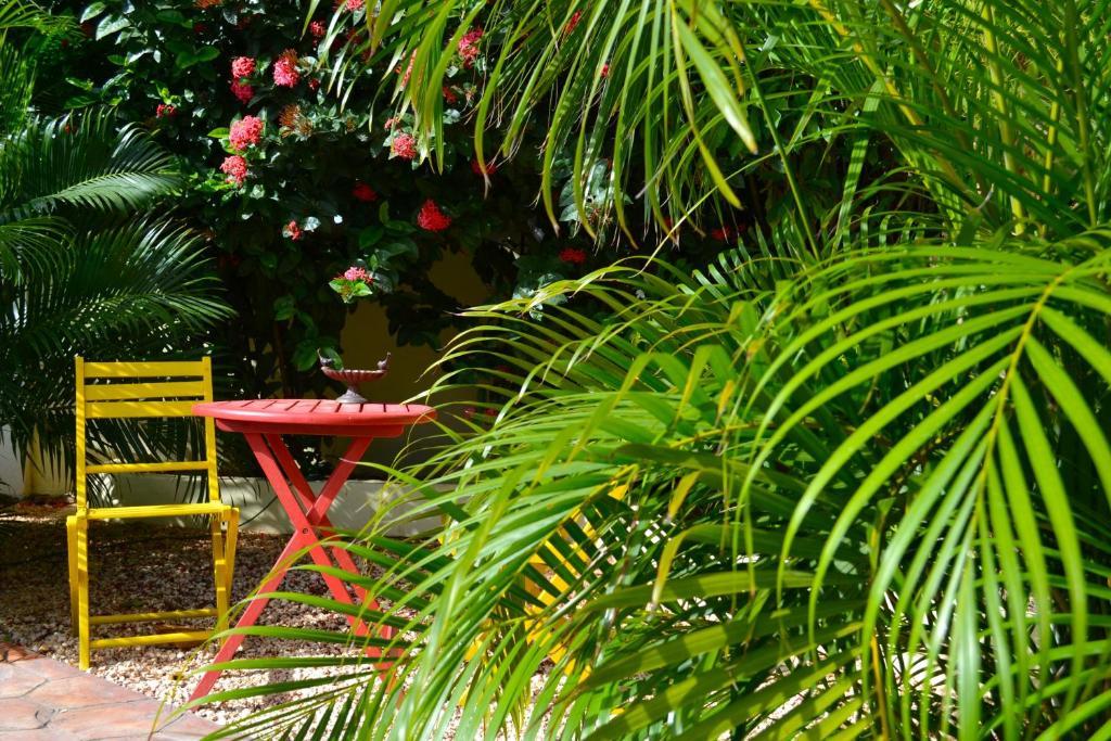 Wonders Boutique Hotel Oranjestad Ngoại thất bức ảnh